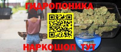 прущие крисы Когалым