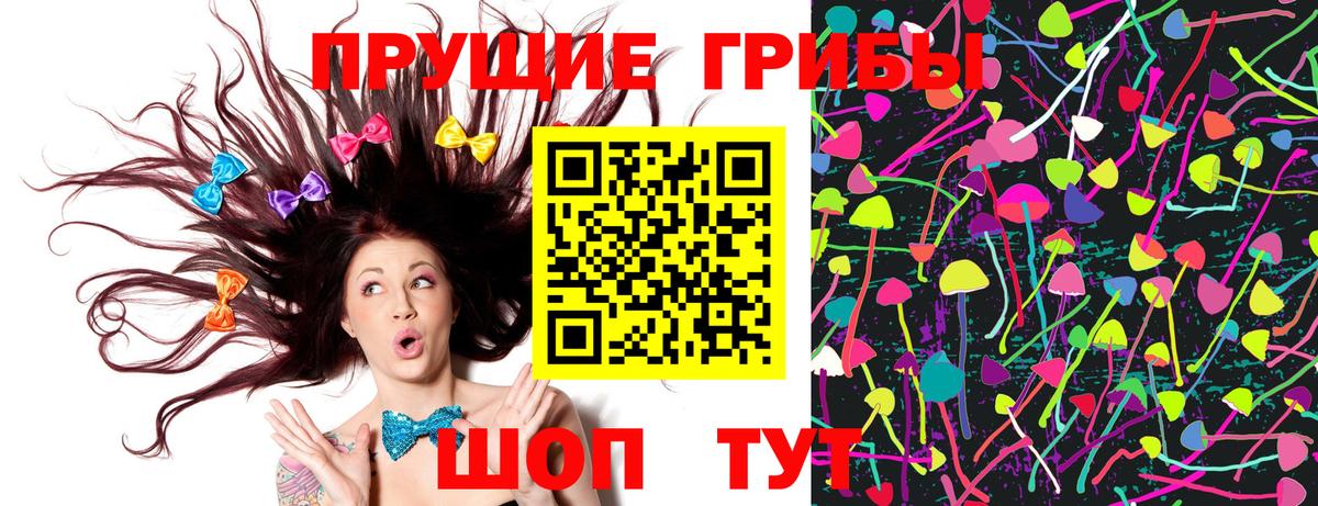 Галлюциногенные грибы Psilocybe  Вход с VPN  Псилоцибиновые грибы GOLDEN TEACHER  Астрахань 